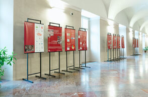 Exhibition corridors - 1st floor